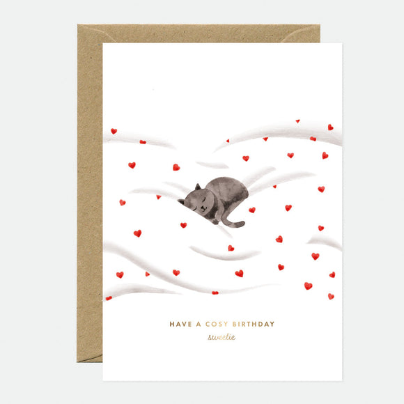 A greeting card with a picture of a cat lying down surrounded by red hearts, with a gold foil text that reads 'HAVE A COZY BIRTHDAY', and a brown envelope.