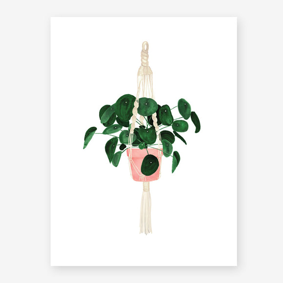 Green potted plant hanging from a macrame plant hanger on a white background
