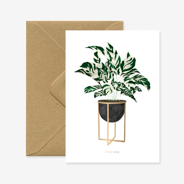 A greeting card with an illustration of a potted Calathea plant with gold foil details, accompanied by a brown envelope.