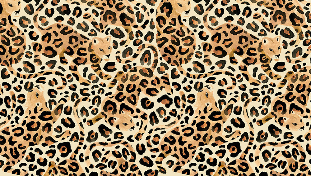 leopard.