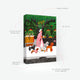 Features of the New York Dogsitter 1000-piece puzzle by All the Ways to Say. Information on the 68x49 cm format and eco-friendly packaging. The scene captures a chic woman walking multiple dogs past a cozy New York storefront with green foliage.